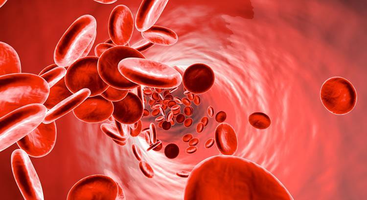 8 Types of Cancer That Can Be Diagnosed with Blood Tests