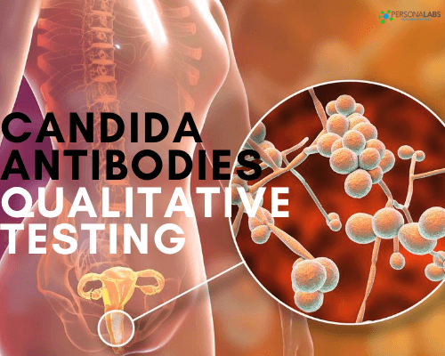 candida antibodies qualitative