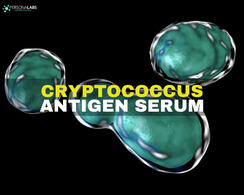 cryptococcus antigen serum