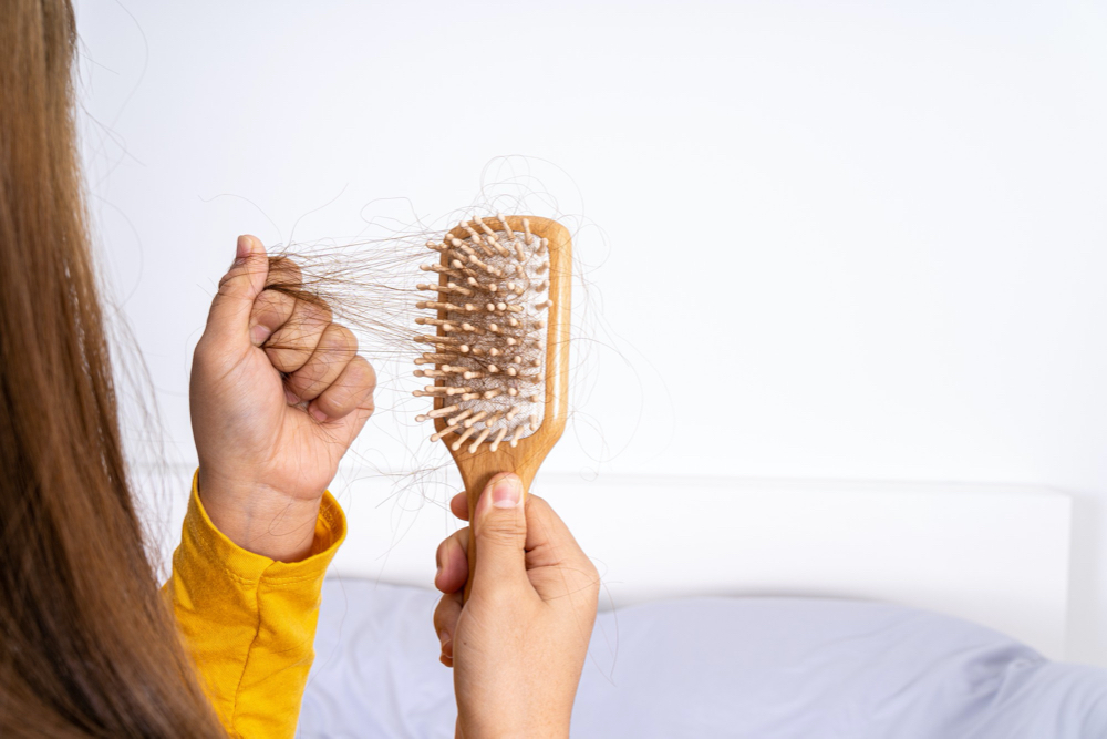 Closeup hand holding comb and hair fall problem.