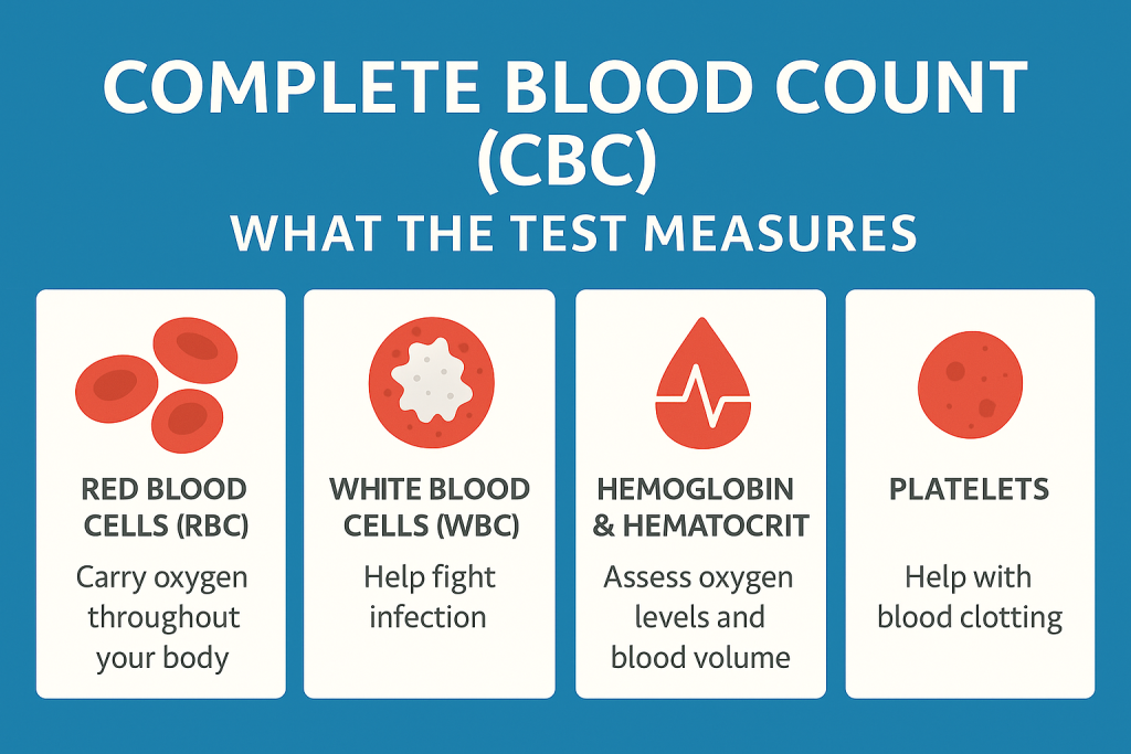 infographic about what the cbc lab test measures
